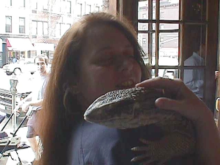 Lizard UpperEast Side NYC 98