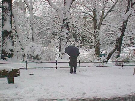 new york city central pk an old geezer !