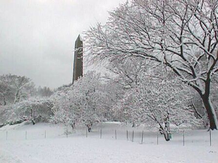 new york city central pk obelisk